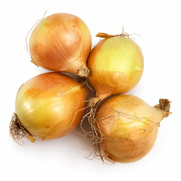 Սոխ kg