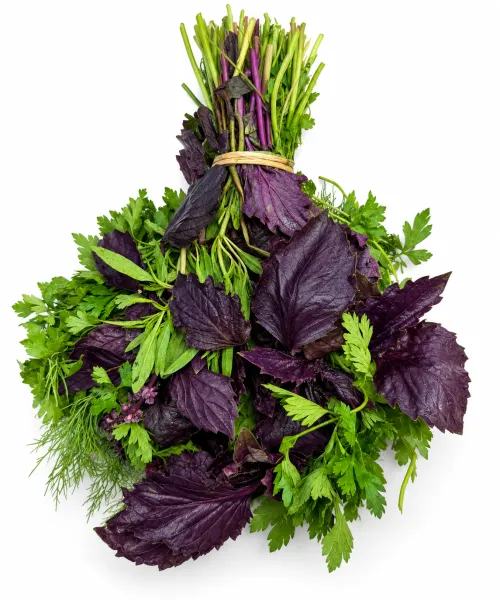 Կանաչի խառը