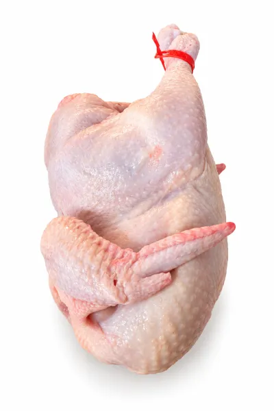Հավ Սպիտակի Կգ