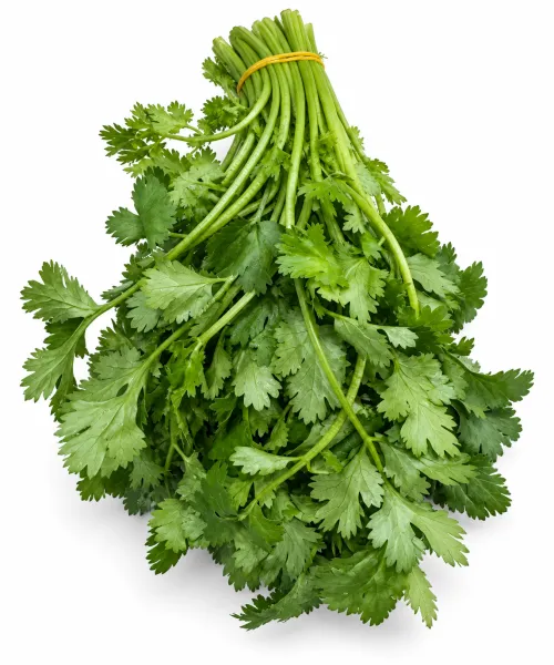 Կանաչի համեմ