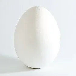 Ձու Սպիտակի 1հատ